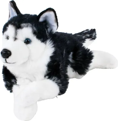 Produktbild von Sibirischer Husky Kuscheltier liegend schwarz/weiß 38 cm