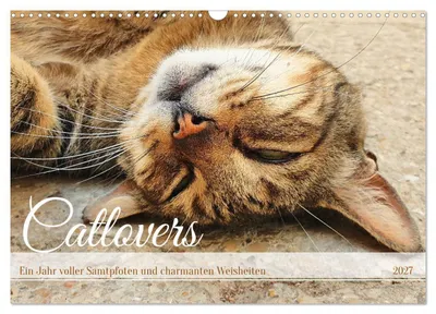 Produktbild von Catlovers - Ein Jahr voller Samtpfoten und charmanten Weisheiten (Wandkalender 2027 DIN A3 quer), CALVENDO Monatskalender