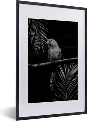Produktbild von MuchoWow® Gerahmtes Poster Ein Papagei sitzt auf einem Zweig vor einem schwarzen Hintergrund - schwarz und weiß 40x60 cm - Poster mit Schwarzem Bilderrahmen Wandposter Rahmen Foto Bilder - Poster in Rahmen
