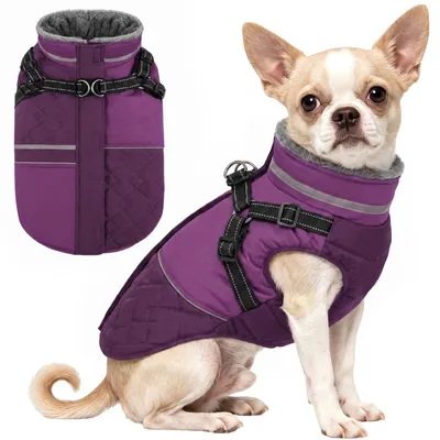 Hundejacke wasserdicht warm mit Geschirr, Lila XS