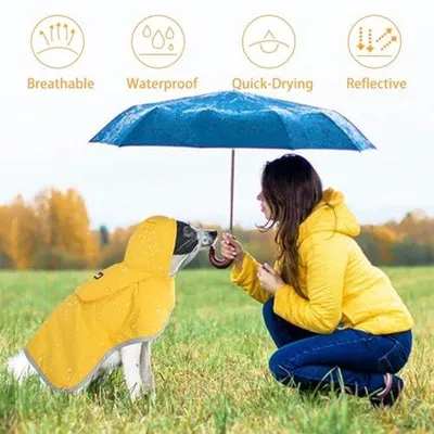 Productafbeelding van Hondenbescherming - Waterdicht en ademend - Verstelbare hondenbescherming met opbergzak