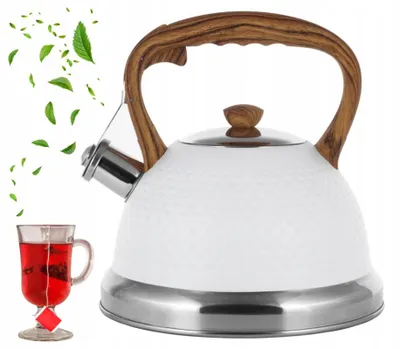 Produktbild von Ofenbach NB100305WH Edelstahl Wasserkocher mit Pfeife, Induktion, 2,7 L