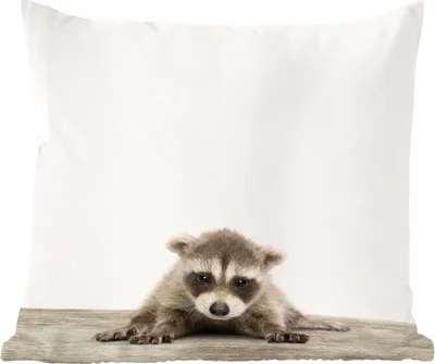 Produktbild von MuchoWow® Zierkissen Sofakissen Wohnzimmer Dekokissen 50x50 cm Tiere - Waschbär - Baby - Komfort - Sofakissen