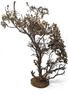 Produktbild von Baum für Krippe aus Naturmaterial. Für Weihnachtskrippen. 47x38x18 cm.