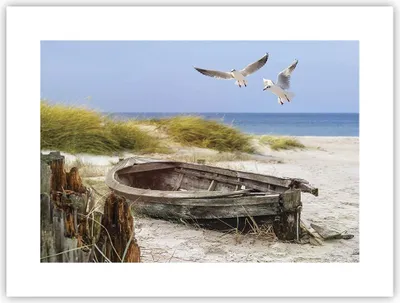 Produktbild von Poster - Poster ohne Rahmen - Strand Möwen £ódŸ - 40x30 cm - Wand Bild - Wanddeko - Wandbilder - Kunstposter - Wandposter - Bilder - Kunstdruck - Wanddekoration - Wandbild - P2XAA40x30-4170