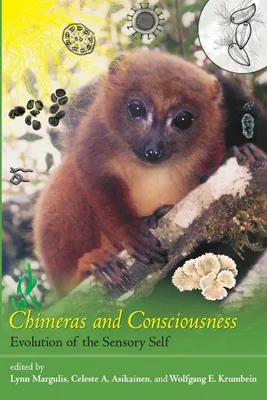 Produktbild von Chimeras and Consciousness