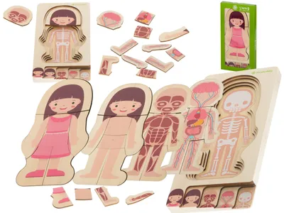 Obrázek produktu pro Aga Dřevěné puzzle Montessori části těla Dívka
