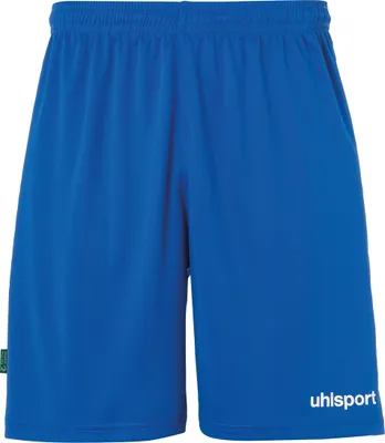 Produktbild von uhlsport Shorts Center Basic Shorts FTP Unisex 1005306_01 azurblau M