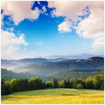 Produktbild von Wallario Sticker / Aufkleber für Kühlschrank / Geschirrspüler / Küchenschränke, selbstklebende Folie - 60 x 60 cm, Motiv: Berglandschaft im Gebirge unter blauem Himmel