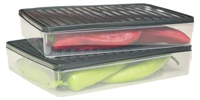 Aufbewahrungsboxen mit Deckel, 2er-Set, groß, Antrazit, lebensmittelecht