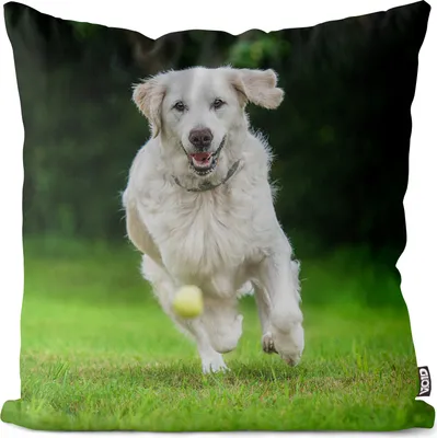 Produktbild von VOID Golden Retriever Ball Kissenbezug Kissenhülle Sofakissen Kissen Deko Outdoor-Kissen Dekokissen