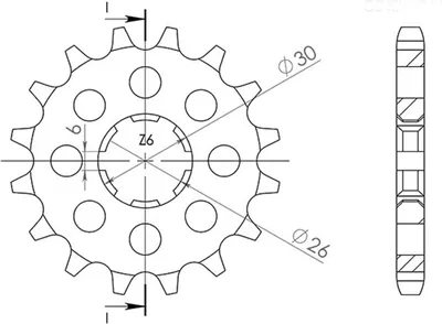Immagine prodotto di Pignone Passo 530 - Z 17 Denti (Dis.21600)