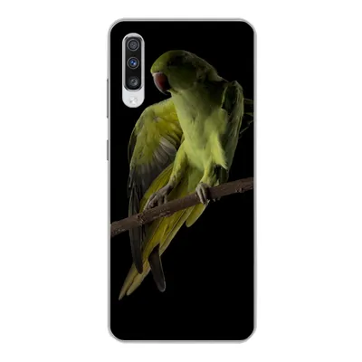 Produktbild von MuchoWow® Handyhülle Schutzhülle Hülle für Samsung Galaxy A70 Papagei - Vogel - Zweig Silikon Softcase Handy Hülle