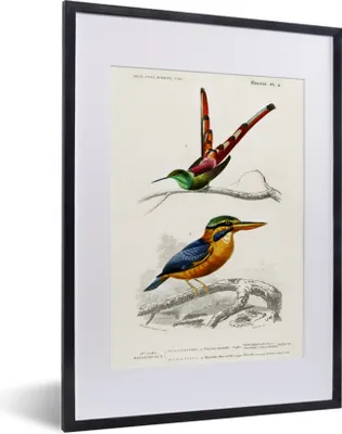 Produktbild von MuchoWow® MuchoWow® Gerahmtes Poster Vogel - Vintage - Zweig 30x40 cm - Poster mit zchwarzem Bilderrahmen - Wandposter Schlafzimmer