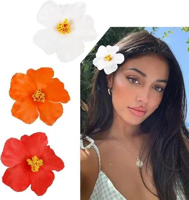Produktbild von 3 Haarstifte Plumeria Hibiscus Strand Sommer Accessoires