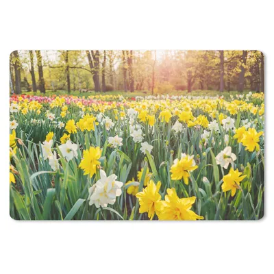 Produktbild von MuchoWow® Mauspad Mousepad Narzisse - Farben - Frühling 27x18 cm - Mousepads - Maus Mat - Pad - Mausunterlage - Büroartikel - Desk Matten