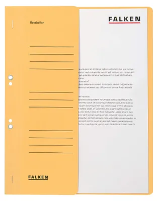Image de FALKEN 80003833 Farde à 50 oeillets chamois DIN A4
