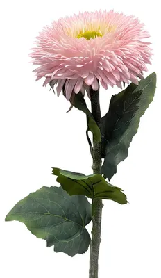 Produktbild von Clayre & Eef Kunstblume Rosa Kunststoff