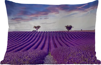 Produktbild von MuchoWow® Outdoor Kissen - Lavendel - Natur - Lila - Bäume - Blumen - 50x30 cm - Wetterfest - Lounge Kissen - Sofa kissen - Wohnzimmer Dekoration
