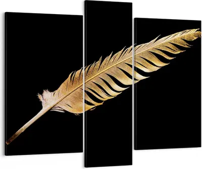 Produktbild von Bild auf Leinwand - Leinwandbild - 3 Teile - Golden Feder Schwarz - 95x80cm - Wand Bild - Wanddeko - Wandbilder - Leinwanddruck - Bilder - Wanddekoration - Leinwand bilder - Wandbild - CB95x80-4887