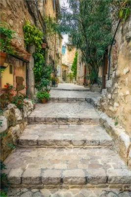 Produktbild von Wallario selbstklebendes Poster - Alte steinerne Gasse in Südfrankreich, Größe: 61 x 91,50 cm