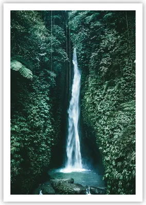 Produktbild von Poster - Poster ohne Rahmen - Tropen Wasserfall Dschungel - 70x100 cm - Wand Bild - Wanddeko - Wandbilder - Kunstposter - Wandposter - Bilder - Kunstdruck - Wanddekoration - P2XPA70x100-5103