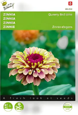 Produktbild von Zinnie Queeny Lime Red | Zinniensamen von Buzzy Seeds