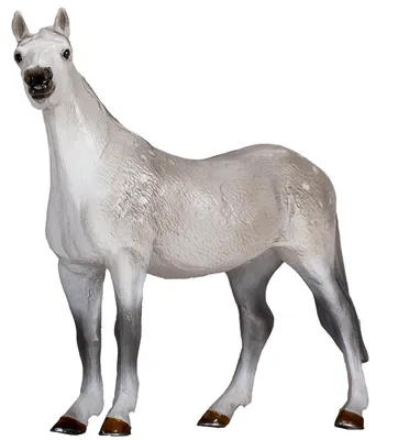 Zdjęcie produktu dla Mojo Fun Orlov Trotter, 3 lat(a), HORSE WORLD, Szary, Biały, Czarny, Polichlorek winylu (PVC)