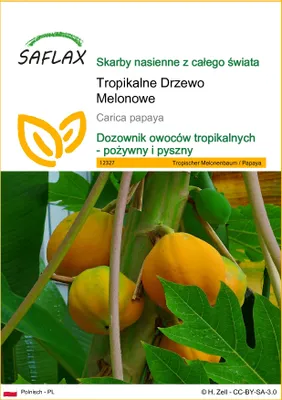 Zdjęcie produktu dla SAFLAX - Tropikalne Drzewo Melonowe - 30 Nasiona - Carica papaya