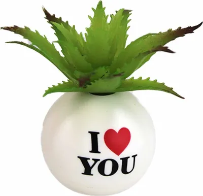 Produktbild von Kleine Pflanze Deko Kunststoff "I love you" - ca. 8 cm