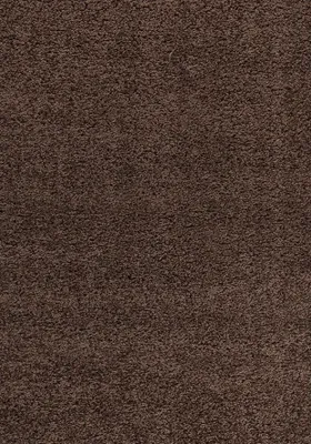 Image de 60x110 cm Pièce tapis Dream Shaggy 4000 marron