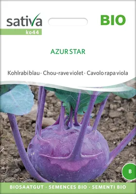 Artikelbild 1 von 'BIO Kohlrabi blau Azur Star' aus der Kategorie Kohlrabisamen