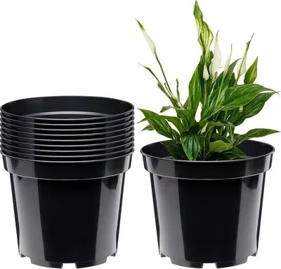 Produktbild von Kunststoff-Blumentöpfe – für drinnen und draußen – 10 Stück – schwarz – 15 cm