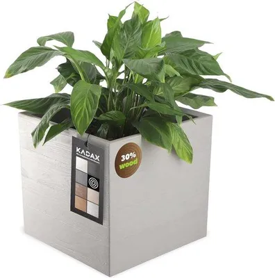 Zdjęcie produktu dla Plastikowa donica na kwiaty z kółkami – 39 x 39 cm, 7 kolorów, tworzywo sztuczne, z otworem do opróżniania