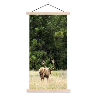 Produktbild von MuchoWow® Textilposter Hirsche - Gras - Wald 60x120 cm mit holzfarbenen Rahmen - Holz