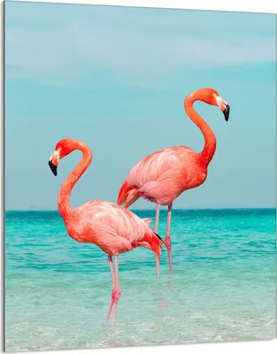 Produktbild von Glasschneidebrett 40x52 Flamingo