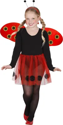 Immagine prodotto di Set di costumi da coccinella per bambini