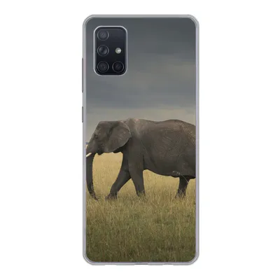 Produktbild von MuchoWow® Handyhülle Schutzhülle Hülle für Samsung Galaxy A71 Elefant - Savanne - Tiere - Natur Silikon Softcase Handy Hülle - Kartenbesitzer