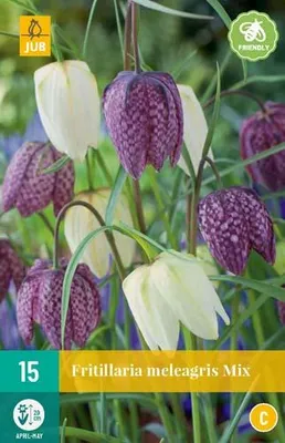 Artikelbild 1 von 'Fritillaria meleagris Mix (15 Stück)' aus der Kategorie Kaiserkronenzwiebeln