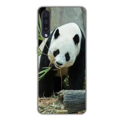 Produktbild von MuchoWow® Handyhülle Schutzhülle Hülle für Samsung Galaxy A50 Panda - Baumstamm - Höhle Silikon Softcase Handy Hülle - Mobiltelefonhülle