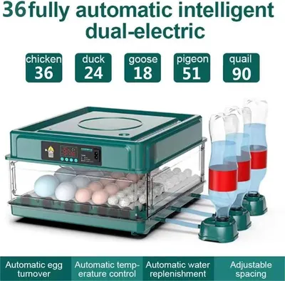 Produktbild von Brutautomat 36 Eier - Mini Eierinkubator - Schubladenmodell - Automatische Wasserzufuhr - Digitale Temperaturregelung - EU-Stecker