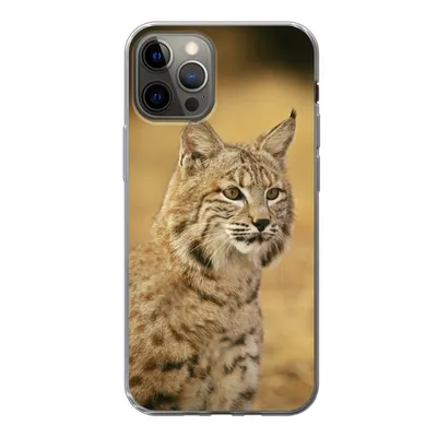 Produktbild von MuchoWow® Handyhülle Schutzhülle Hülle für iPhone 13 Pro Luchs - Braun - Gras Silikon Softcase Handy Hülle - Handy-Tasche