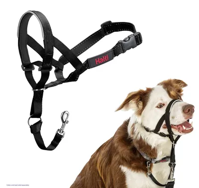 Immagine prodotto di Collare da dressage per cani Compagnia degli Animali Halti Museruola nera (35-48 cm)