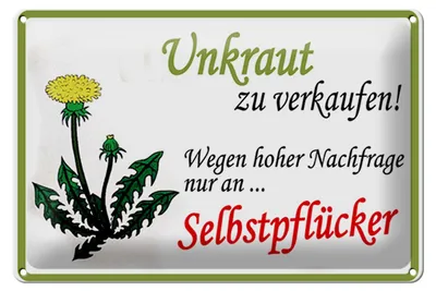 Produktbild von Blechschild Spruch 30x20cm Unkraut verkaufen Selbstpfücker