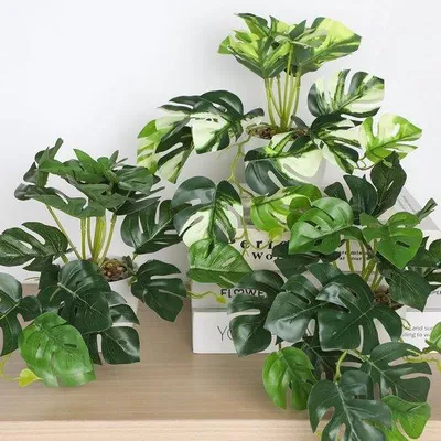 Produktbild von Famanu Set von 3 Kunstpflanzen 20 cm - Realistische Monstera mit weißen Kunststofftöpfen