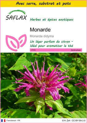 Image de SAFLAX Ensemble de culture - Monarde - 20 graines - Monarda