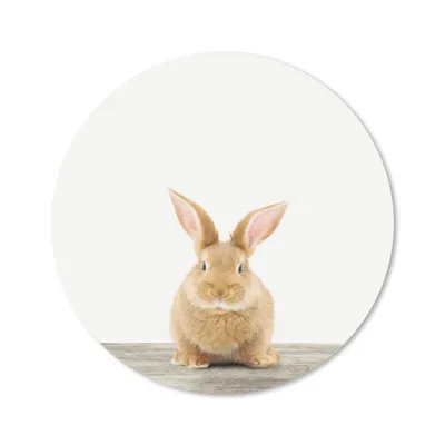 Produktbild von MuchoWow® Mauspad Mousepad Kaninchen - Babykaninchen - Tiere - Kinder - Mädchen - Jungen 40x40 cm - Mousepads - Maus Mat - Pad - Mausunterlage - Schreibtisch Accessoires