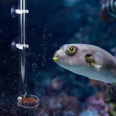 Sonstiges Aquarienzubehör, Hauptbild