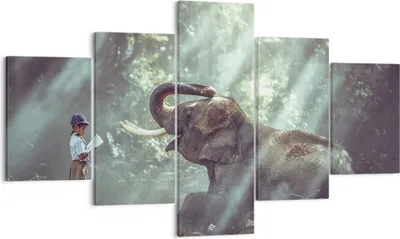 Produktbild von Bild auf Leinwand - Leinwandbild - Elefant Dschungel Stoßzahn - 125x70cm - Wand Bild - Wanddeko - Leinwanddruck - Bilder - Kunstdruck - Wanddekoration - Leinwand bilder - Wandkunst - EA125x70-3486