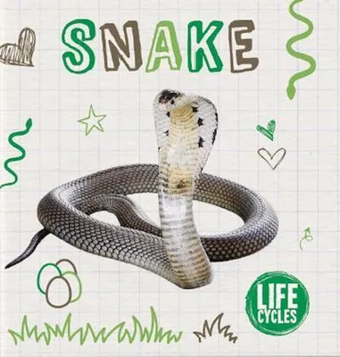 Imagen del producto de Serpiente